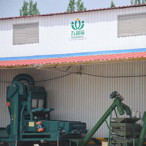 亞麻原料復(fù)式清選機(jī)、去石機(jī)